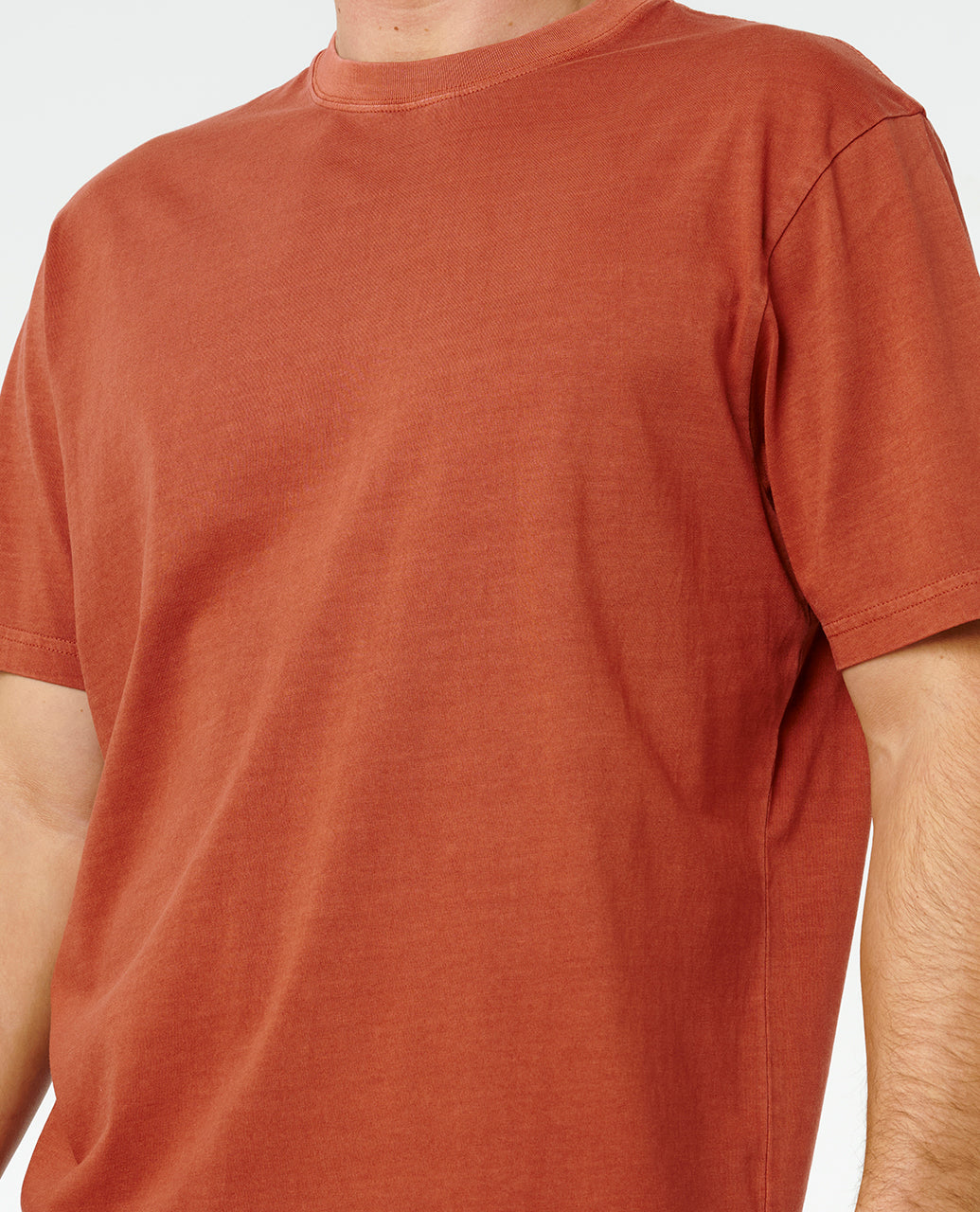 PLAIN II WASH T - baked clay