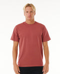PLAIN II WASH T - apple butter