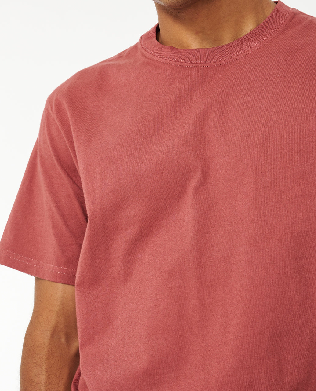PLAIN II WASH T - apple butter
