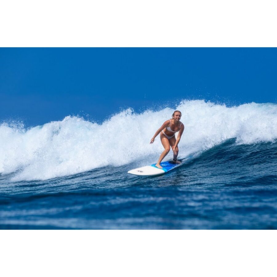 6.2 CBC SUSHI SURFBOARD - no color