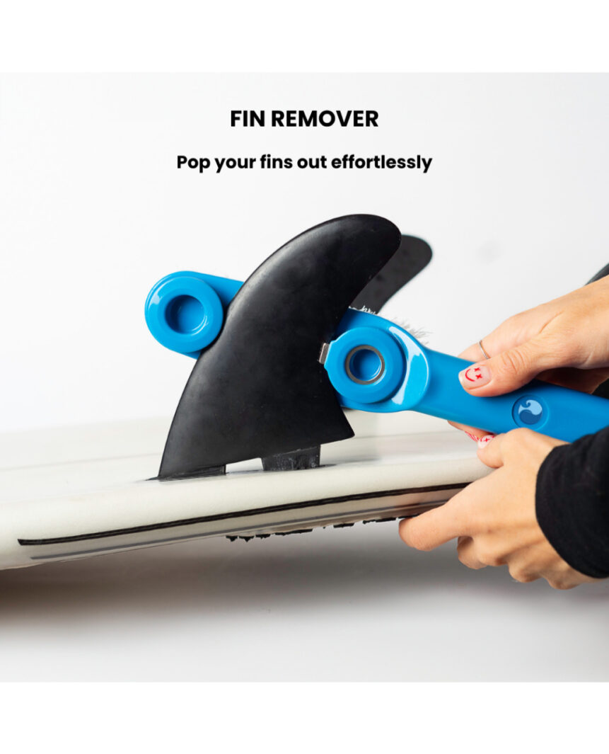 THE CLEAN FIN THE CLEAN FIN